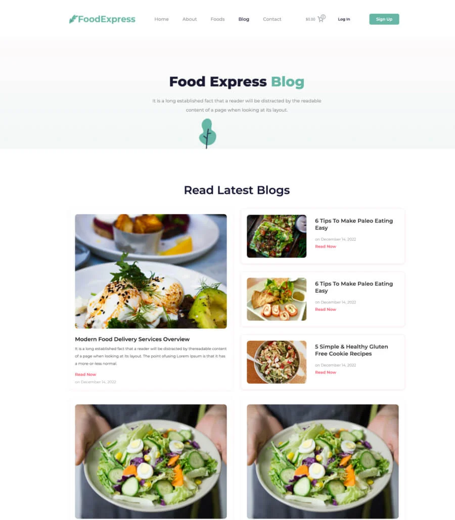 Food Express Blog Page For Gutenberg