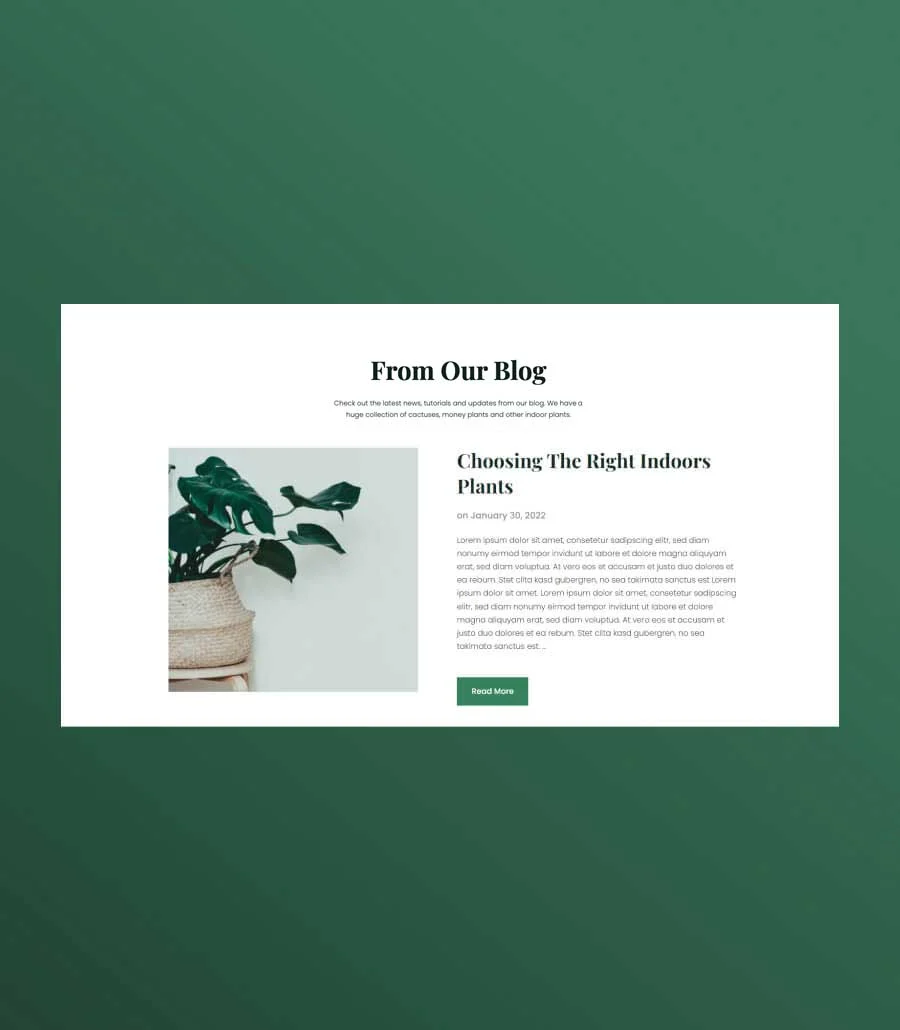 植物商店Gutenberg网站模板_一键导入快速建站插图9-WP资源海 Greenzone Blog Section For Gutenberg