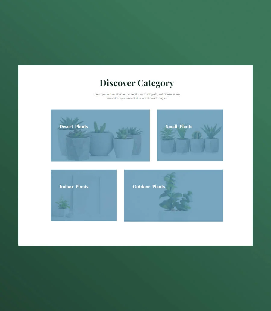 植物商店Gutenberg网站模板_一键导入快速建站插图12-WP资源海 Greenzone Discovery Section For Gutenberg