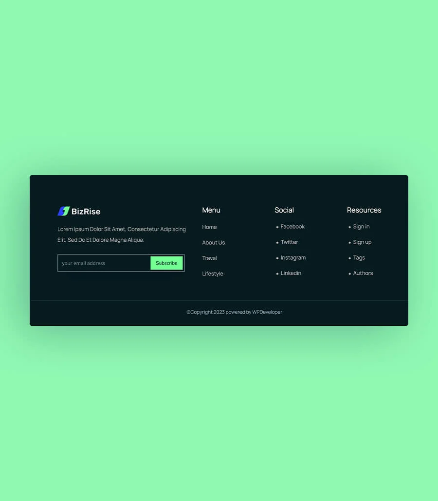 多用途机构Elementor网站模板_一键导入快速建站插图12-WP资源海 BizRise Footer