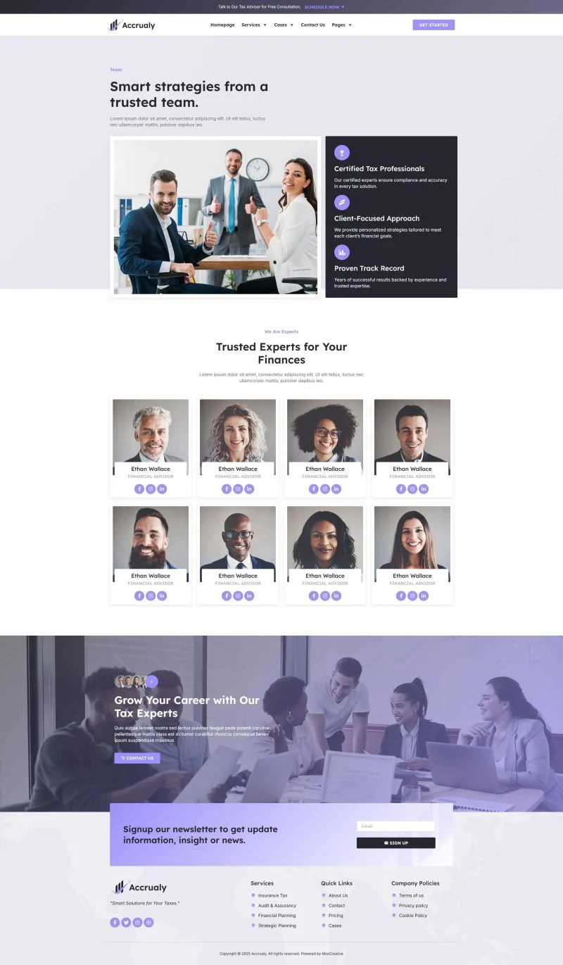 服务/咨询 Elementor 模板团队页面预览