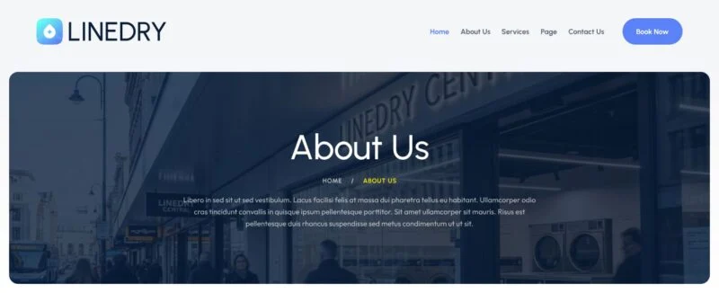 衣物洗护Elementor网站模板_一键导入快速建站插图6-WP资源海 家政 Elementor 模板页眉预览
