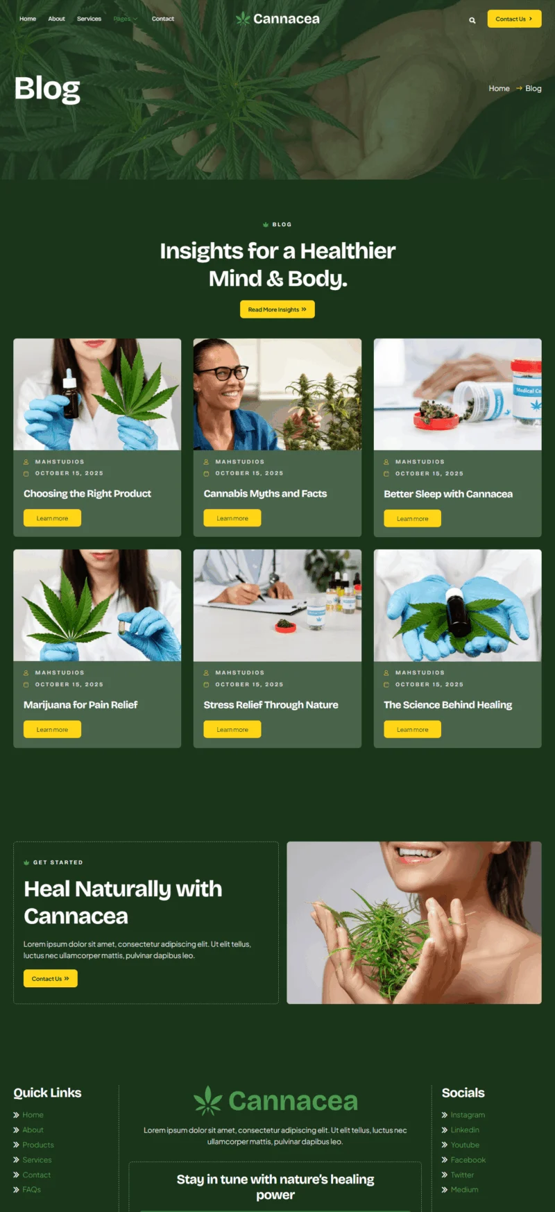 健康/医药 Elementor 模板博客页面预览