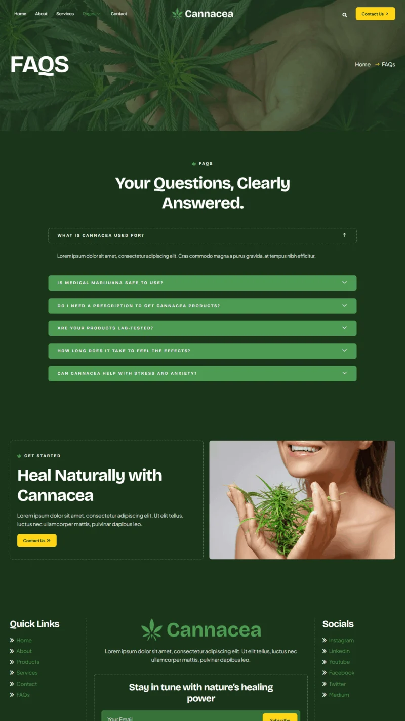 健康/医药 Elementor 模板常见问题预览