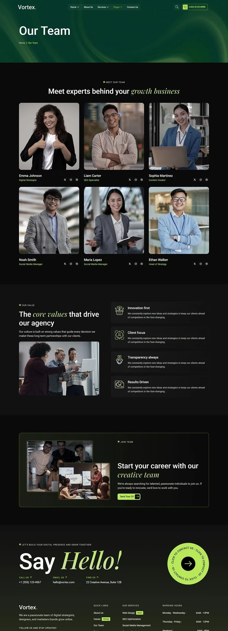 营销服务团队Elementor网站模板_一键导入快速建站插图3-WP资源海 广告/营销 Elementor 模板团队页面预览