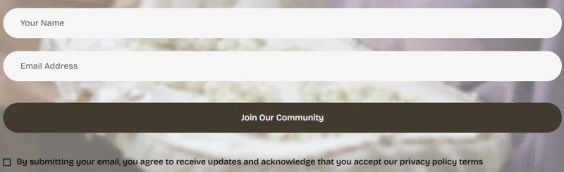 婚礼定制Elementor网站模板_一键导入快速建站插图1-WP资源海 婚礼/婚庆 Elementor 模板表单预览