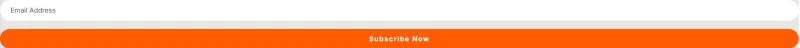 建筑工地Elementor网站模板_一键导入快速建站插图6-WP资源海 建筑/地产 Elementor 模板订阅表单预览