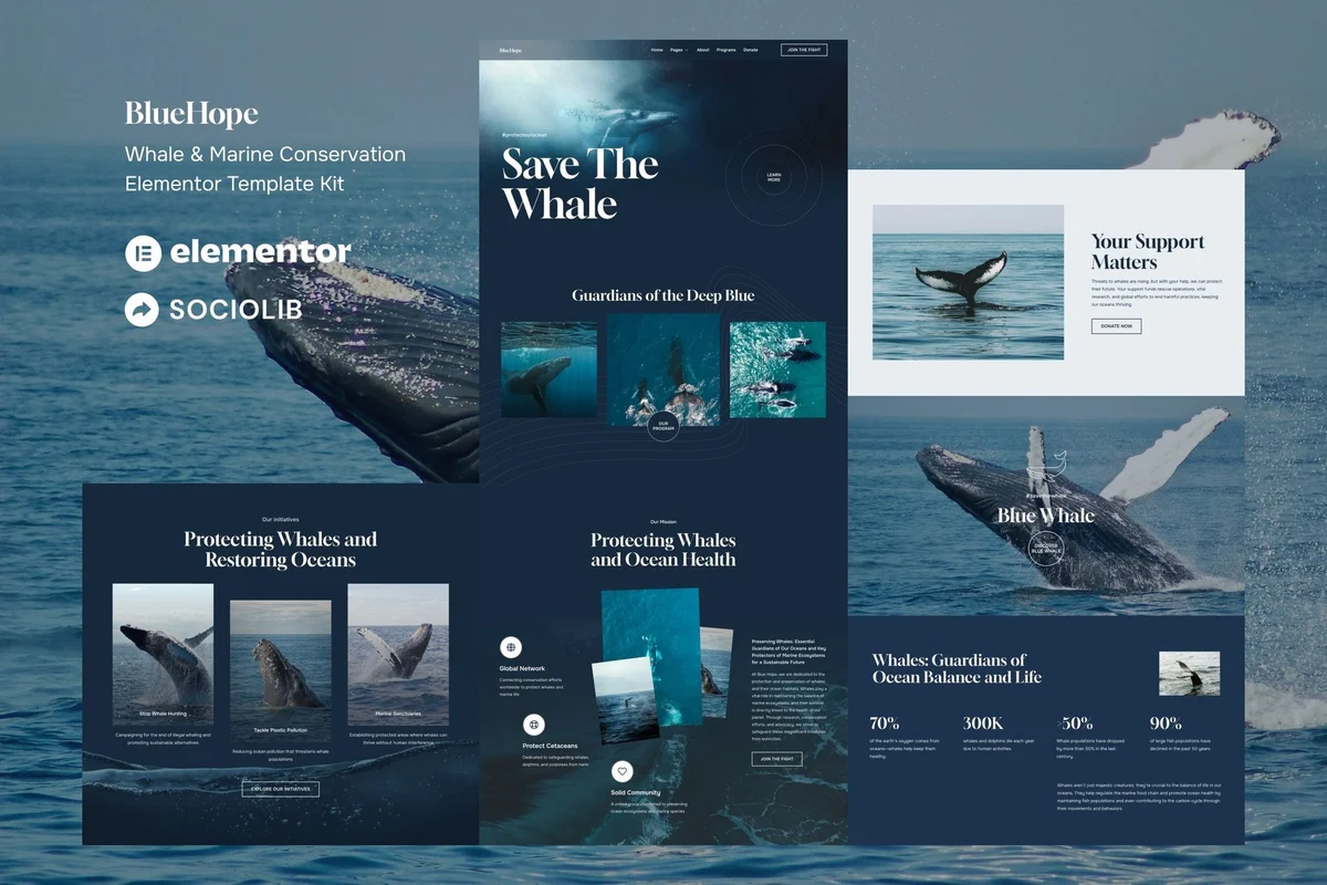 海洋保护公益Elementor网站模板_一键导入快速建站插图-WP资源海 组织/机构 Elementor 网站模板封面