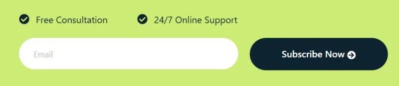 商业运营咨询Elementor网站模板_一键导入快速建站插图7-WP资源海 金融/投资 Elementor 模板表单预览