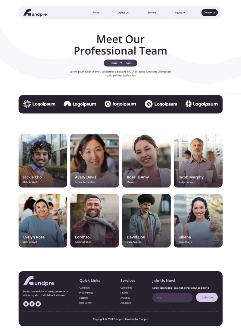 金融/投资 Elementor 模板团队页面预览