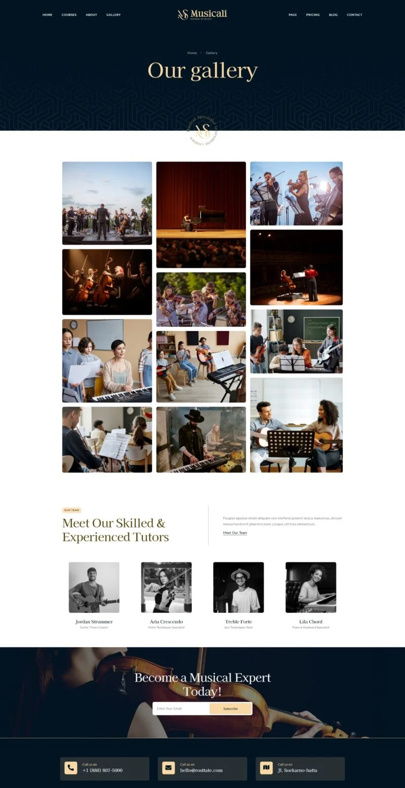学校 Elementor 模板图片展示预览
