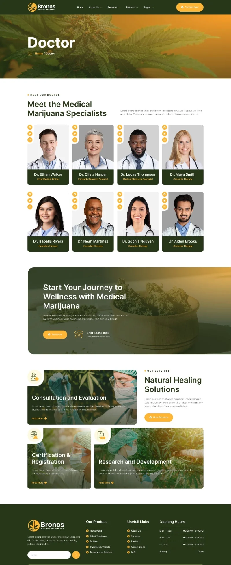 医用大麻健康服务Elementor网站模板_一键导入快速建站插图3-WP资源海 健康/医药 Elementor 模板医生团队预览