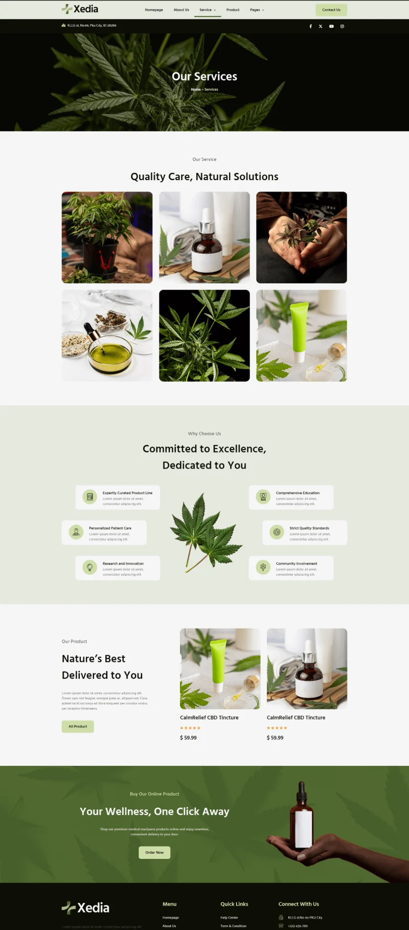 医疗大麻Elementor网站模板_一键导入快速建站插图3-WP资源海 健康/医药 Elementor 模板服务页面预览