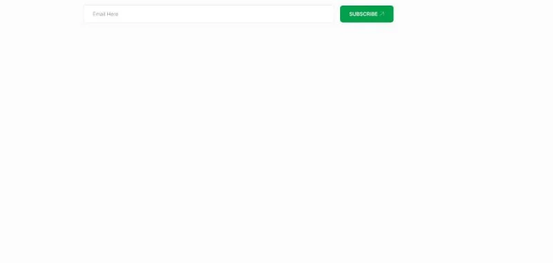 金融/投资 Elementor 模板订阅表单预览