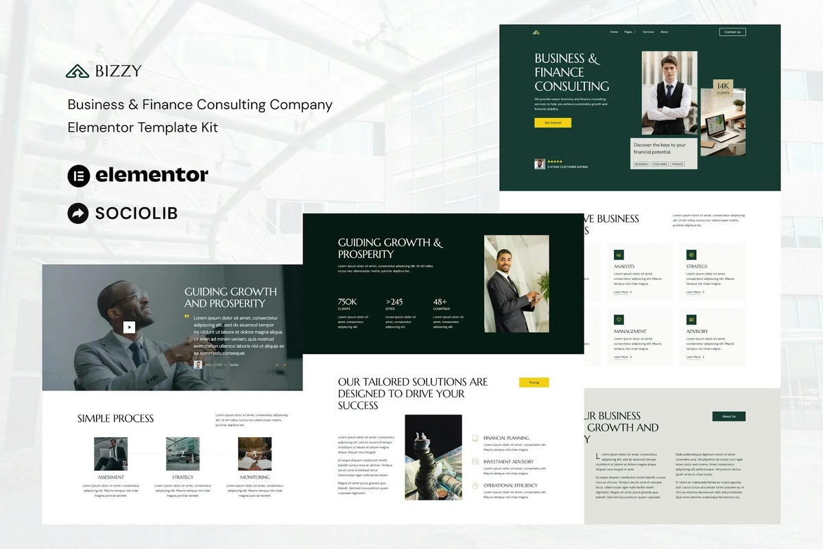 金融咨询公司Elementor网站模板_一键导入快速建站插图-WP资源海 金融/投资 Elementor 网站模板封面