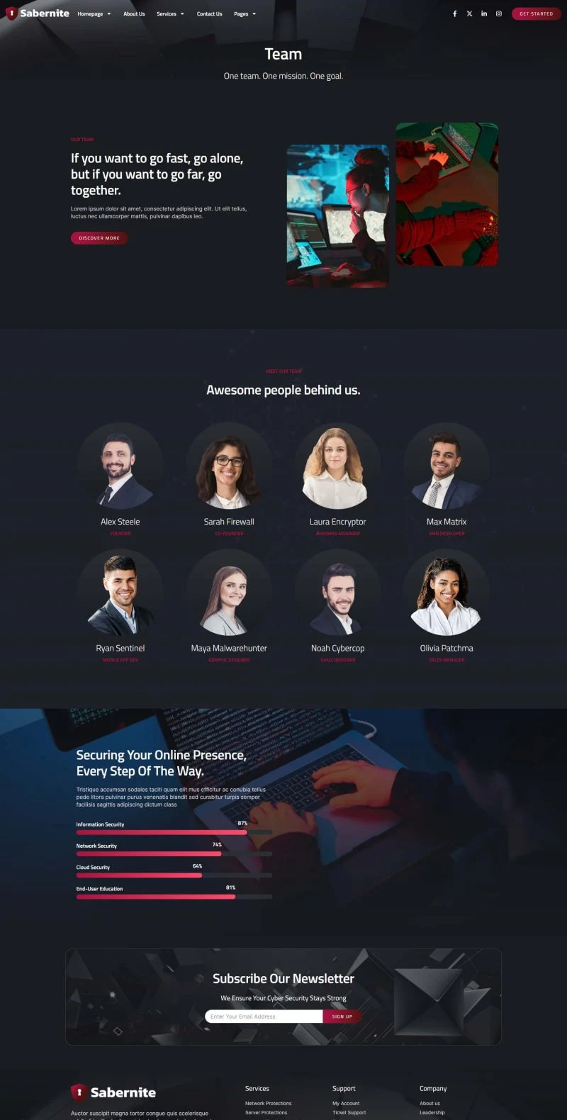 IT互联网 Elementor 模板团队页面预览
