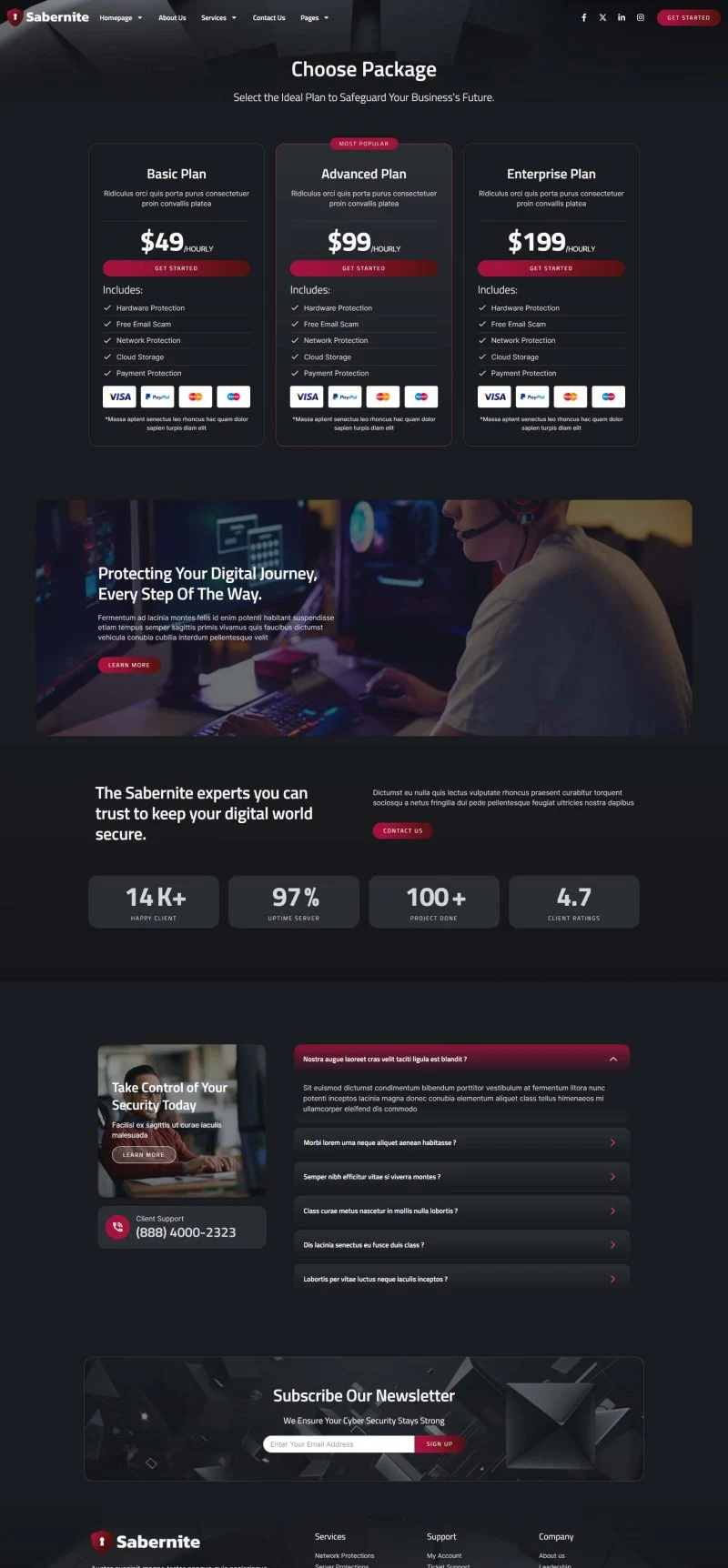 IT互联网 Elementor 模板价格页面预览