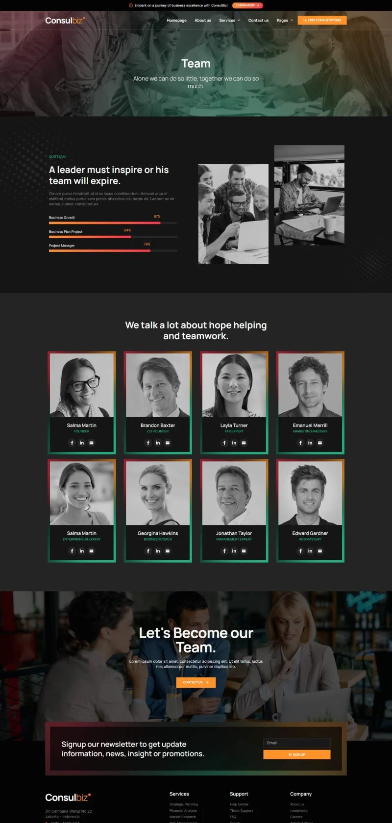 战略与财务咨询Elementor网站模板_一键导入快速建站插图6-WP资源海 服务/咨询 Elementor 模板团队页面预览