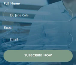 社交 Elementor 模板订阅表单预览
