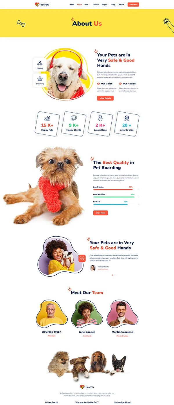 宠物寄养美容与训练服务Elementor网站模板_一键导入快速建站插图2-WP资源海 家政 Elementor 模板关于我们预览