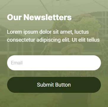 水培农业服务Elementor网站模板_一键导入快速建站插图7-WP资源海 农业 Elementor 模板表单预览