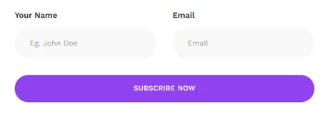 IT互联网 Elementor 模板订阅表单预览