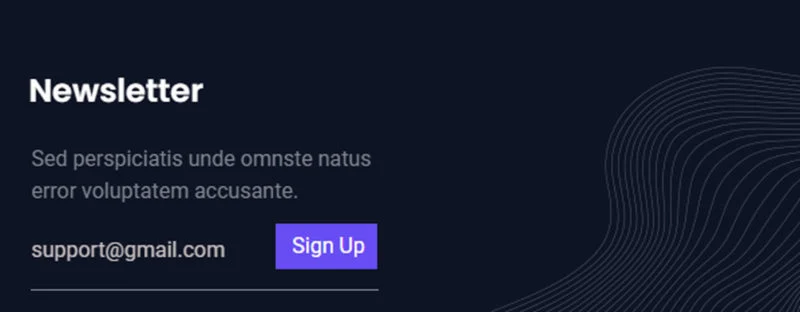 IT互联网 Elementor 模板表单预览
